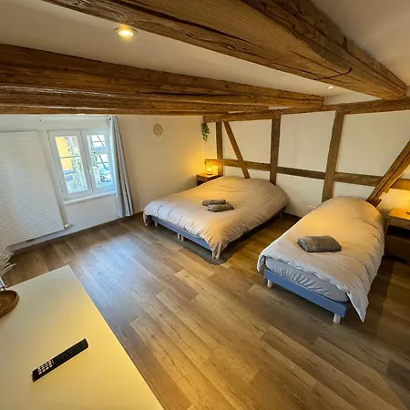 Rez-de-chaussee Centre Alsace Hilsenheim